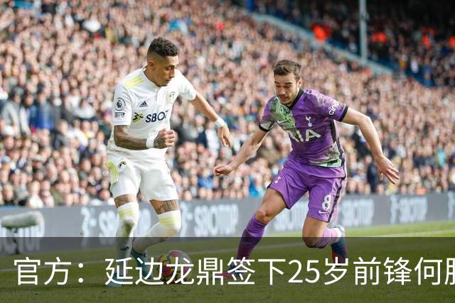 官方：延边龙鼎签下25岁前锋何朕宇，球员曾效力狼队梯队