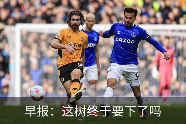 早报：这树终于要下了吗