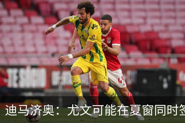 迪马济奥：尤文可能在夏窗同时签下卢库米和穆哈雷莫维奇
