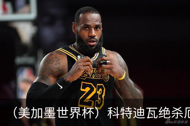 （美加墨世界杯）科特迪瓦绝杀厄瓜多尔 瑞典5:1大胜突尼斯